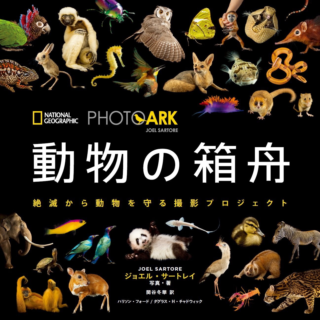 PHOTO ARK 動物の箱舟 絶滅から動物を守る撮影プロジェクト